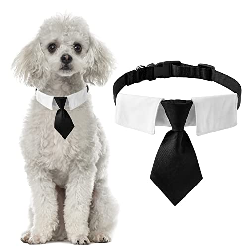 HACRAHO Hunde-Krawatte, 1 Packung Hunde-Smoking-Halsband mit schwarzer Krawatte, verstellbares Hundehalsband mit Schnellverschluss-Schnalle (M) HACRAHO Hunde-Krawatte, 1 Packung Hunde-Smoking-Halsband mit schwarzer Krawatte, verstellbares Hundehalsband mit Schnellverschluss-Schnalle (M) von HACRAHO
