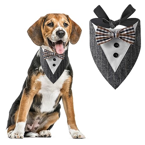 HACRAHO Hunde-Smoking-Halstuch, 1 Stück, grau, formelles Hunde-Hochzeitsband und weiches Haustier-Smoking-Halstuch für Hochzeitsfeier für Haustiere Hunde HACRAHO Hunde-Smoking-Halstuch, 1 Stück, grau, formelles Hunde-Hochzeitsband und weiches Haustier-Smoking-Halstuch für Hochzeitsfeier für Haustiere Hunde von HACRAHO