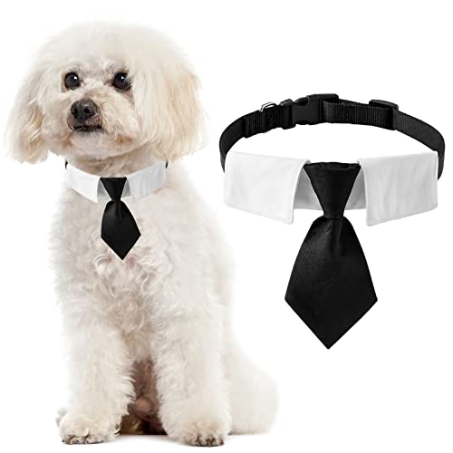 HACRAHO Hunde-Krawatte, 1 Packung Hunde-Smoking-Halsband mit schwarzer Krawatte, verstellbares Hundehalsband mit Schnellverschluss-Schnalle für kleine mittelgroße Hunde, S HACRAHO Hunde-Krawatte, 1 Packung Hunde-Smoking-Halsband mit schwarzer Krawatte, verstellbares Hundehalsband mit Schnellverschluss-Schnalle für kleine mittelgroße Hunde, S von HACRAHO