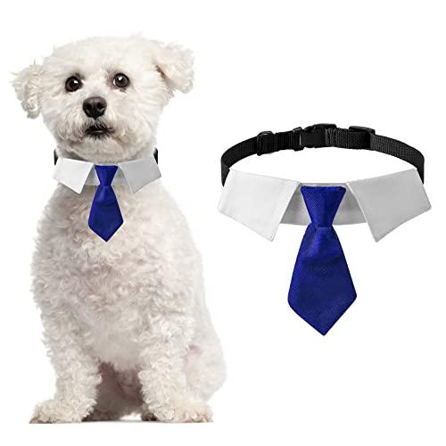 HACRAHO Hundehalsband, 1 Stück, Smokinghalsband mit blauer Krawatte, formell, verstellbar, Hochzeit, Haustierhalsband für kleine, mittelgroße Hunde, S HACRAHO Hundehalsband, 1 Stück, Smokinghalsband mit blauer Krawatte, formell, verstellbar, Hochzeit, Haustierhalsband für kleine, mittelgroße Hunde, S von HACRAHO