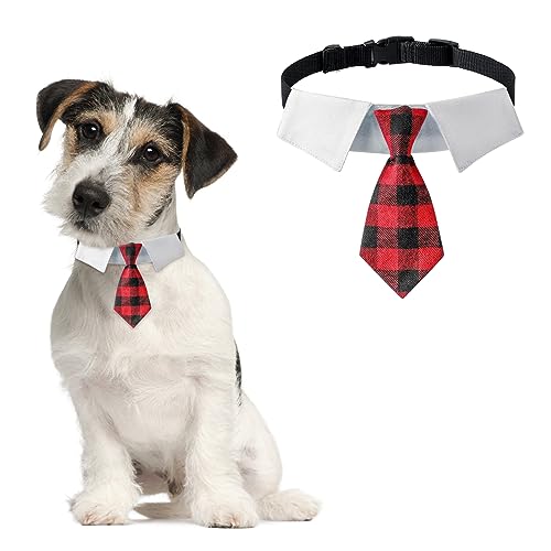 HACRAHO Hundehalsband, 1 Stück verstellbares Hundehalsband mit Krawatte Hochzeit formelles Hundehalsband für kleine mittelgroße Hunde Haustiere, S von HACRAHO