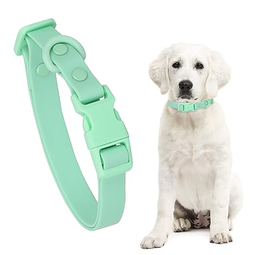 HACRAHO Hundehalsband, Wasserdichtes Hundehalsband, 1 Packung Grün Verstellbares Schwerlast Hundehalsband mit Schnalle für Mittelgroße Große Hunde, M von HACRAHO
