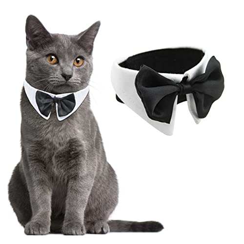 HACRAHO Katzen-Smokinghalsband, 1 Stück, weiß, formelle Welpen, Fliege, Smokinghalsband für kleine Hunde, Katzen, für Hochzeit, Geburtstag, Party HACRAHO Katzen-Smokinghalsband, 1 Stück, weiß, formelle Welpen, Fliege, Smokinghalsband für kleine Hunde, Katzen, für Hochzeit, Geburtstag, Party von HACRAHO