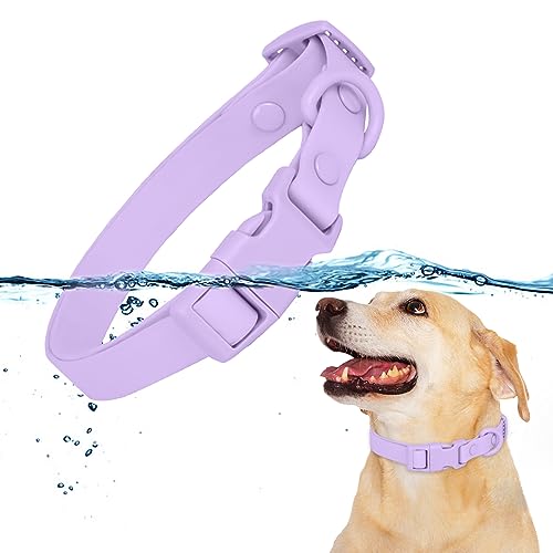 HACRAHO Wasserdichtes Hundehalsband, 1 Packung lila, verstellbares Haustierhalsband zum Spazierengehen, Laufen, bequemes gummiertes Gurtband für mittelgroße und kleine Hunde, Größe L HACRAHO Wasserdichtes Hundehalsband, 1 Packung lila, verstellbares Haustierhalsband zum Spazierengehen, Laufen, bequemes gummiertes Gurtband für mittelgroße und kleine Hunde, Größe L von HACRAHO