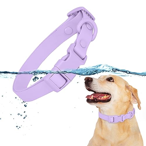 HACRAHO Wasserdichtes Hundehalsband, Lila, verstellbares Haustierhalsband zum Spazierengehen, Laufen, bequemes gummiertes Gurtband für mittelgroße und kleine Hunde, Größe M HACRAHO Wasserdichtes Hundehalsband, Lila, verstellbares Haustierhalsband zum Spazierengehen, Laufen, bequemes gummiertes Gurtband für mittelgroße und kleine Hunde, Größe M von HACRAHO