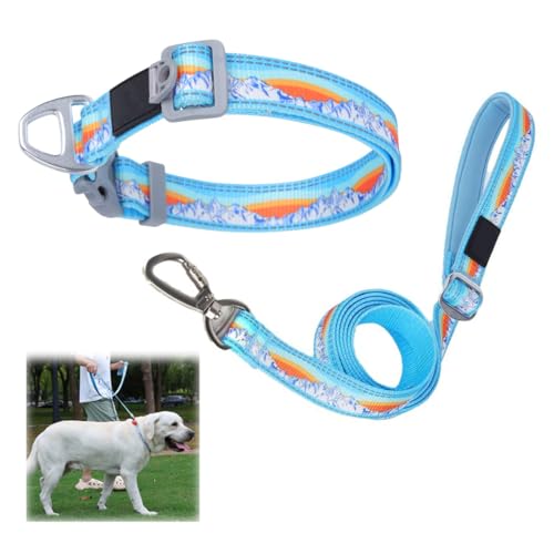 Dog Collar and Lead Set, Adjuastable Pet Reflective Collar with 173cm Traction Leash, Dog Leash Comfortable and Non-Stringy, for Small/Medium/Large Dog Training, Walking, Running (Blue,L) von HADAVAKA