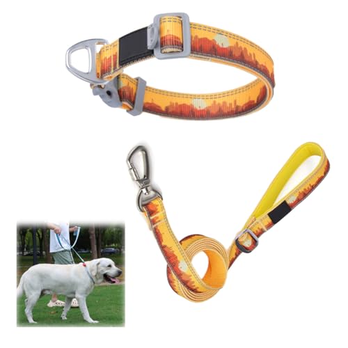 Dog Collar and Lead Set, Adjuastable Pet Reflective Collar with 173cm Traction Leash, Dog Leash Comfortable and Non-Stringy, for Small/Medium/Large Dog Training, Walking, Running (Orange,S) von HADAVAKA