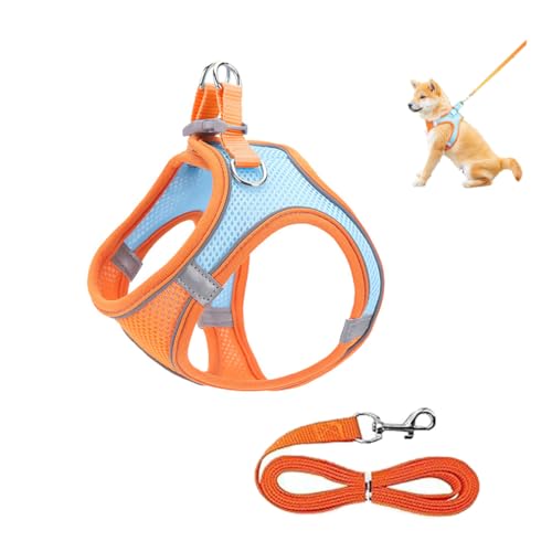 Puppy Dog Harness and Leash Sets, for Small Dogs and Cat, Dog Walking Vest Leash Reflective, Soft Mesh Breathable Dog Vest Harness, Pet Leash, for Outdoor Walking Training (M) von HADAVAKA