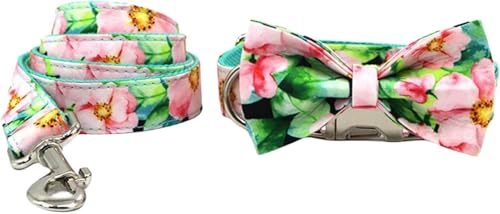 Das Comfort-Hundehalsband, modisch bedrucktes Hundehalsband und Leine-Set, verstellbares Hundehalsband mit Fliege und Schnellverschluss-Metallschnalle, verdrehsichere Leine for kleine, mittelgroße und Das Comfort-Hundehalsband, modisch bedrucktes Hundehalsband und Leine-Set, verstellbares Hundehalsband mit Fliege und Schnellverschluss-Metallschnalle, verdrehsichere Leine for kleine, mittelgroße und von HAFEISI