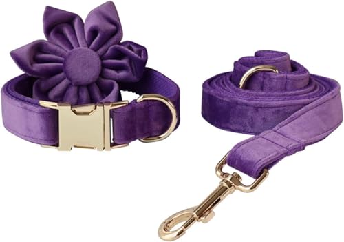 Die Komfort-Hundehalsbänder, Frühlingsblumen-Hundehalsbänder, lila, abnehmbares Hundehalsband mit Blumengeschenk, Haustierhalsband, verstellbares Hundehalsband for kleine, mittelgroße und große Hunde( Die Komfort-Hundehalsbänder, Frühlingsblumen-Hundehalsbänder, lila, abnehmbares Hundehalsband mit Blumengeschenk, Haustierhalsband, verstellbares Hundehalsband for kleine, mittelgroße und große Hunde( von HAFEISI