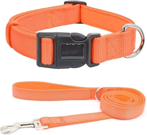 Die komfortablen Hundehalsbänder, langlebiges taktisches Hundehalsband-Leine-Set, personalisiertes Nylon-Hundehalsband, militärische Trainingshundehalsbänder for kleine, mittelgroße und große Hunde(Or Die komfortablen Hundehalsbänder, langlebiges taktisches Hundehalsband-Leine-Set, personalisiertes Nylon-Hundehalsband, militärische Trainingshundehalsbänder for kleine, mittelgroße und große Hunde(Or von HAFEISI