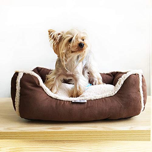HAFEISI Kleines Haustierbett, Hundebett, wasserdichte Haustiermatte, Katzenschlafhöhle, weiches Kissen, Zwinger, mit Fleece gefüttert, warmes Haustierbett for Kätzchen und Welpen, Kleiner Hund HAFEISI Kleines Haustierbett, Hundebett, wasserdichte Haustiermatte, Katzenschlafhöhle, weiches Kissen, Zwinger, mit Fleece gefüttert, warmes Haustierbett for Kätzchen und Welpen, Kleiner Hund von HAFEISI