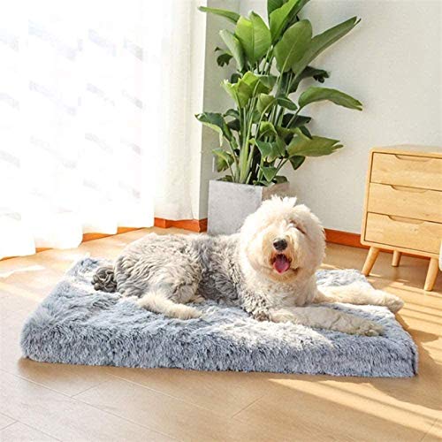HAFEISI Kleines Haustierbett, orthopädisches großes Hundekissen mit Memory Foam-Hundematratze, ergonomisches Design, waschbar, rutschfestes Hundebett for kleine, mittelgroße und große Hunde(Grey,M) HAFEISI Kleines Haustierbett, orthopädisches großes Hundekissen mit Memory Foam-Hundematratze, ergonomisches Design, waschbar, rutschfestes Hundebett for kleine, mittelgroße und große Hunde(Grey,M) von HAFEISI