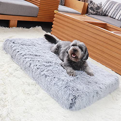Kleines Haustierbett, großes orthopädisches Hundebett, weiche Plüschmatratze for Haustiere, Memory Foam-Sofa mit abnehmbarem, waschbarem Bezug, Mattenkissen for große Katzen und Hunde(Grey,50x40CM) Kleines Haustierbett, großes orthopädisches Hundebett, weiche Plüschmatratze for Haustiere, Memory Foam-Sofa mit abnehmbarem, waschbarem Bezug, Mattenkissen for große Katzen und Hunde(Grey,50x40CM) von HAFEISI