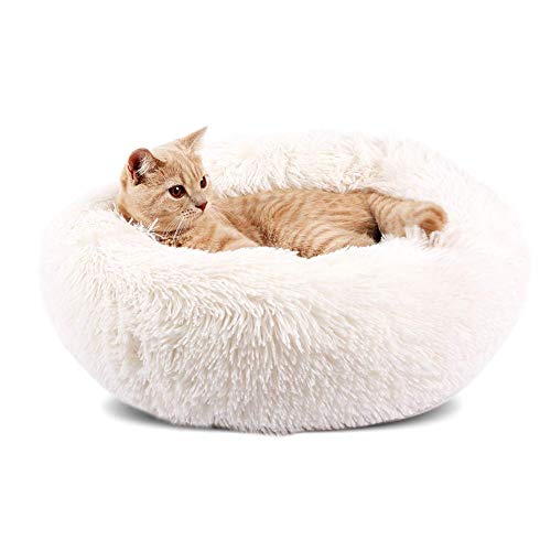Kleines Haustierbett, luxuriöses, weiches, warmes Hundebett aus Plüsch for kleine und mittelgroße Hunde und Katzen, rundes Haustiersofa, beruhigendes Welpenkissen, verdicktes Kissen, wasserdichte Unte Kleines Haustierbett, luxuriöses, weiches, warmes Hundebett aus Plüsch for kleine und mittelgroße Hunde und Katzen, rundes Haustiersofa, beruhigendes Welpenkissen, verdicktes Kissen, wasserdichte Unte von HAFEISI