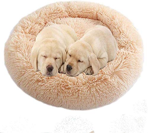 Kleines Haustierbett, orthopädisches beruhigendes Hundebett, Schlafkorb, weiches Kunstfell, Haustiersofa for mittelgroße und große Hunde, Golden Retriever, Deutscher Hund, waschbar(Beige,110cm) von HAFEISI