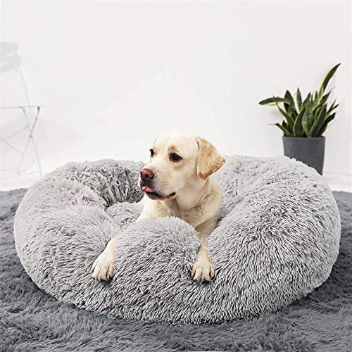 Kleines Haustierbett, weiches, bequemes Hundebett, rundes Donut-Katzenbett aus Plüsch, waschbares Hundekissen, orthopädischer Schlafkorb for Haustiere for mittelgroße, große und sehr große Hunde(Light Kleines Haustierbett, weiches, bequemes Hundebett, rundes Donut-Katzenbett aus Plüsch, waschbares Hundekissen, orthopädischer Schlafkorb for Haustiere for mittelgroße, große und sehr große Hunde(Light von HAFEISI