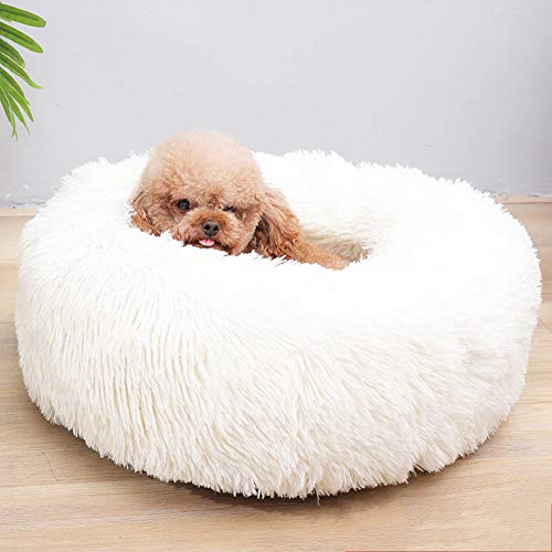Kleines Haustierbett, zotteliges Kunstfell-Beruhigungsbett for Haustiere, Katzenbett, Kätzchen, Teddy-Zwinger, weiches Donut-Nest, Hundekissen, Schlafkissen for Katzen, Welpen, mittelgroße Hunde, Rosa Kleines Haustierbett, zotteliges Kunstfell-Beruhigungsbett for Haustiere, Katzenbett, Kätzchen, Teddy-Zwinger, weiches Donut-Nest, Hundekissen, Schlafkissen for Katzen, Welpen, mittelgroße Hunde, Rosa von HAFEISI