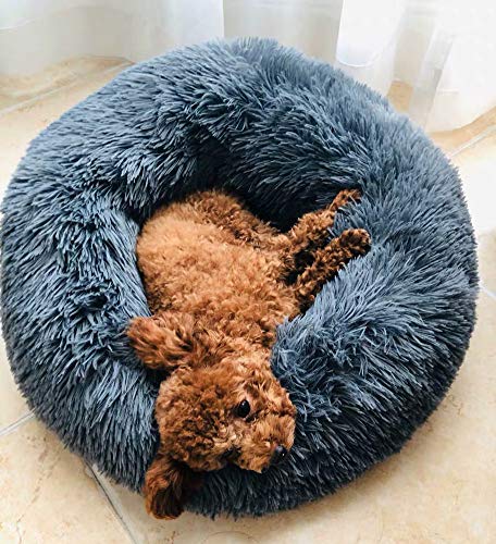 Kleines Haustierbett, zotteliges Kunstfell-Beruhigungsbett for Haustiere, Katzenbett, Kätzchen, Teddy-Zwinger, weiches Donut-Nest, Hundekissen, Schlafkissen for Katzen, Welpen, mittelgroße Hunde, Rosa Kleines Haustierbett, zotteliges Kunstfell-Beruhigungsbett for Haustiere, Katzenbett, Kätzchen, Teddy-Zwinger, weiches Donut-Nest, Hundekissen, Schlafkissen for Katzen, Welpen, mittelgroße Hunde, Rosa von HAFEISI