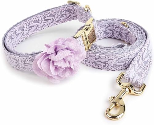 The Comfort Hundehalsbänder, Hochzeitshalsband und Leine for Hunde, Baumwoll-Hundehalsband, schickes Haustierhalsband, modisches großes Hundehalsband mit Schleife und Metallschnalle, verstellbares mit The Comfort Hundehalsbänder, Hochzeitshalsband und Leine for Hunde, Baumwoll-Hundehalsband, schickes Haustierhalsband, modisches großes Hundehalsband mit Schleife und Metallschnalle, verstellbares mit von HAFEISI
