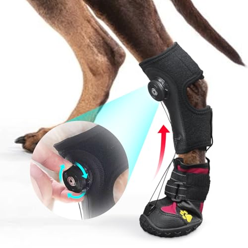 Fußbandage mit Rolle (ohne Knöchelbandage) für Hunde – Korrektive Hundeschuhe zum sicheren Anheben der Zehen bei Fußproblemen, Arthritis und Verbesserung des Gehgangs bei Hunden, (M) von HAGGEMI