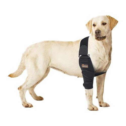 HAGJII Atmungsaktiver Ellenbogenbandage Hund Zur Behandlung Und Vorbeugung Recovery Sleeve Hund Von Ellbogenverhornungen Vorderbeinbandage Schulterstütze Hundebeinschutz(XL,Right Leg) von HAGJII