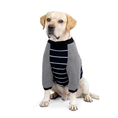 HAGJII Ellenbogenbandage Hund Für Ellenbogen- Und Gelenkpflege, Recovery Sleeve Hund Mit Hunde-Ellbogenschützern Umfassende Vorderbein-Stütze(Schwarz,XXL) von HAGJII