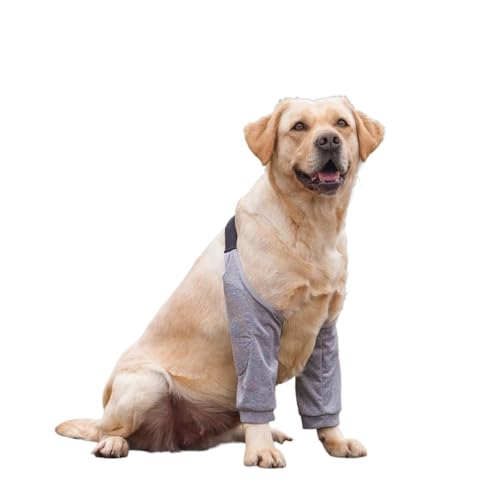 HAGJII Ellenbogenbandage Hund Für Extremen Hornhautschutz Und Hygrom Verstellbare Recovery Sleeve Hund Vorderbein Hundebeinschutz Für Verletzte Beine Oder Gelenke(XXL,C) von HAGJII