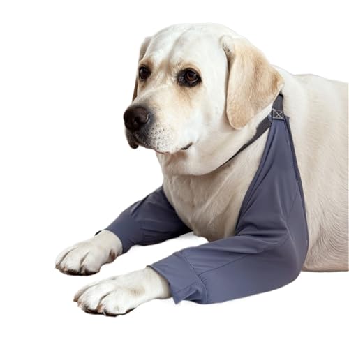 HAGJII Heilung Ellenbogenbandage Hund Zur Behandlung Von Hornhaut Und Linderung Von Hygromen Recovery Sleeve Hund Komfortabel, Weich Hundebeinschutz Und Schulterstütze(Gray,M) von HAGJII