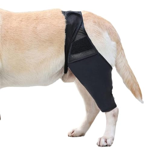 HAGJII Recovery Sleeve Hund Für Hundeellbogen Und Schulterstütze Ellbogenhygrom, Ellenbogenbandage Hund Lindert Arthritis Reduziert Bietet Unterstützung Hundebeinschutz(M) von HAGJII