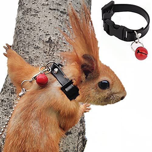 Eichhörnchen-Halsband und Leine – verstellbares Halsband mit sicherer Glocke, Anti-Biss-Traktionsseil, für kleine Tiere, Trainings-Halsband für Eichhörnchen, Frettchen (8–12 cm Hals, schwarz) von HAICHEN TEC