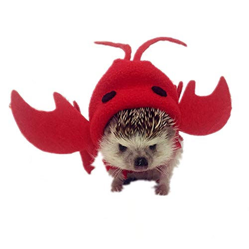 Hedgehog Clothes Lobster Costume Small Animal Apparel Polar Fleece Material Handmade Igel Hoodie Costume Accessories Outfit for Cosplay Halloween Party Pet Supplies (XS (200-300g)) von HAICHEN TEC