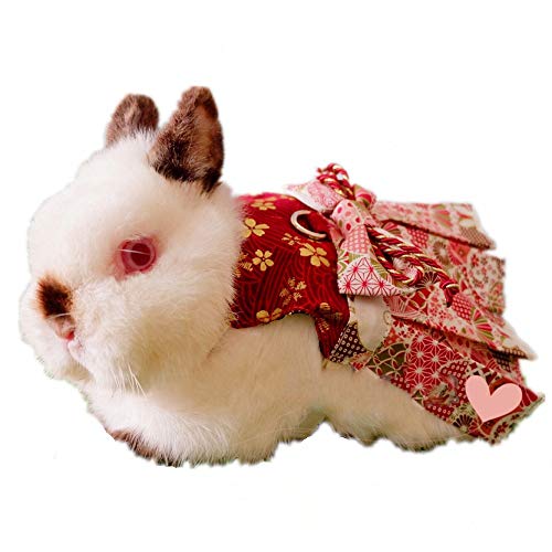 Kaninchen-Kleidung, Faltenrock mit Schleife, verstellbar, Geschirr mit Leine, Halloween, täglicher Gebrauch, Kaninchentuch für Kaninchen, Kätzchen, Welpen, (M (Brustumfang: 19 - 40 cm), rot) von HAICHEN TEC