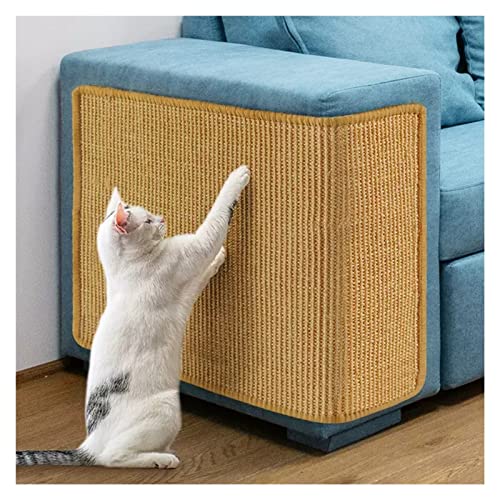 Bambusteppich Katzenkratzmatte für Hauskatzen, Langlebige rutschfeste Wandhalterung Boden Sisalmatte Teppich für Bewegung Katzen Schleifen Krallen & Schutz Möbel gewebt Teppich (Color : W x L, Size von HAIXHX