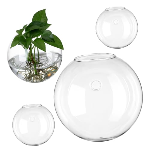 HAKIDZEL 4 Stück Glasvase Hängendes Terrarium Hängender Pflanztopf Terrarienpflanzenhalter Wand Vermehrung Pflanzen Terrarium Luft Ausbreitungsstationen Terrarienpflanzen Leben von HAKIDZEL