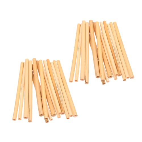HAKIDZEL 50 Stück Natürliche Schilfrohr Ersatzröhren Lang Leichte Bestäubungsröhren für Wildbienen und Imker zum Einfachen DIY Bienenhotel Aufbau von HAKIDZEL