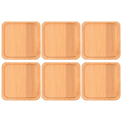 HAKIDZEL 6Stücke Tabletts Quadratische Pflanzenuntersetzer für Sukkulenten und Glücksbambus und Langlebig für Garten und Innenräume von HAKIDZEL