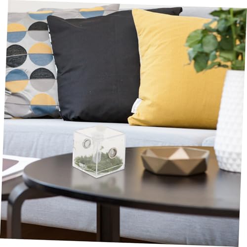 HAKIDZEL Klarer Acryl Sprungspinnen Terrarium Behälter mit Futteröffnung Stabiles Reptilien Aufzuchtbecken für Springspinnen Gecko Grillen und Kleine Reptilien Mittlere Langlebig und HAKIDZEL Klarer Acryl Sprungspinnen Terrarium Behälter mit Futteröffnung Stabiles Reptilien Aufzuchtbecken für Springspinnen Gecko Grillen und Kleine Reptilien Mittlere Langlebig und von HAKIDZEL