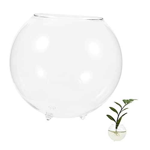 HAKIDZEL Micro-landschaftsvase Fischzubehör Aquariumdekorationen Klare Aquariumschale Aquarienlicht Tischfischschale Schüsseln Vasen Transparente Aquarienschale Zubehör Für Aquarien Glas von HAKIDZEL