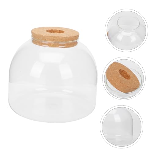HAKIDZEL Mikrolandschaft Ökologische DIY Flasche Übertopf Für Den Außenbereich Miniaturpflanzen Pflanzenterrarium Dekorative Flasche Terrariumglas Mit Deckel Anzuchtglas Für Den von HAKIDZEL