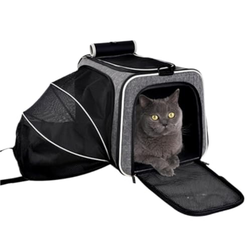 Transportbox Katze Transporttasche Katze Katzenträger-Rucksäcke, Kleiner Hund, Haustier, Hunderucksack, Hunde-Umhängetasche, Hundeträger, Hunde-Babytrage-Rucksack Katzen Transportbox Katzenbox Transportbox Katze Transporttasche Katze Katzenträger-Rucksäcke, Kleiner Hund, Haustier, Hunderucksack, Hunde-Umhängetasche, Hundeträger, Hunde-Babytrage-Rucksack Katzen Transportbox Katzenbox von HALAHAI