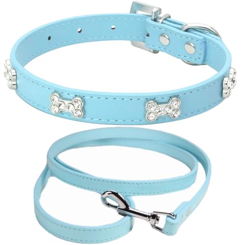 HALFSUMO Halsband und Leine Set Hundehalsband Leder Hundehalsbänder Verstellbares Welpenhalsband für Kleine Mittelgroße Hunde Azurblau M HALFSUMO Halsband und Leine Set Hundehalsband Leder Hundehalsbänder Verstellbares Welpenhalsband für Kleine Mittelgroße Hunde Azurblau M von HALFSUMO