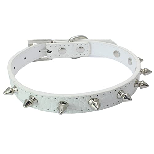 HALFSUMO Hundehalsband Leder Halsband Hund Lederhalsband Hund Verstellbar Halsband für Kleine Mittelgroße Große Hunde Weiß XS CL031 von HALFSUMO