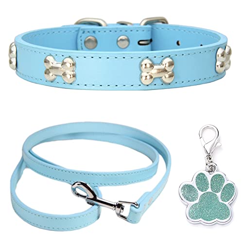 HALFSUMO Hundehalsband Leder Halsband Hundeleine Combo Set Hundehalsbänder Verstellbares Welpenhalsband für Kleine Mittelgroße Hunde Katzen Azurblau XS von HALFSUMO