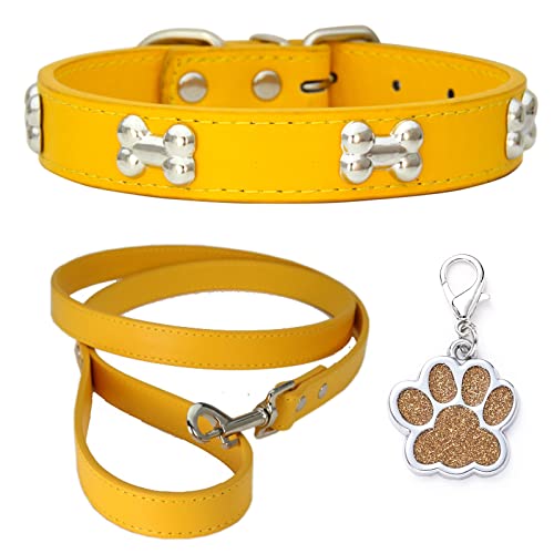 HALFSUMO Hundehalsband Leder Halsband Hundeleine Combo Set Hundehalsbänder Verstellbares Welpenhalsband für Kleine Mittelgroße Hunde Katzen Golden M von HALFSUMO