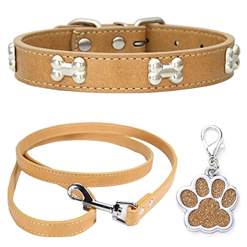 HALFSUMO Hundehalsband Leder Halsband Hundeleine Combo Set Hundehalsbänder Verstellbares Welpenhalsband für Kleine Mittelgroße Hunde Katzen Khaki XS von HALFSUMO