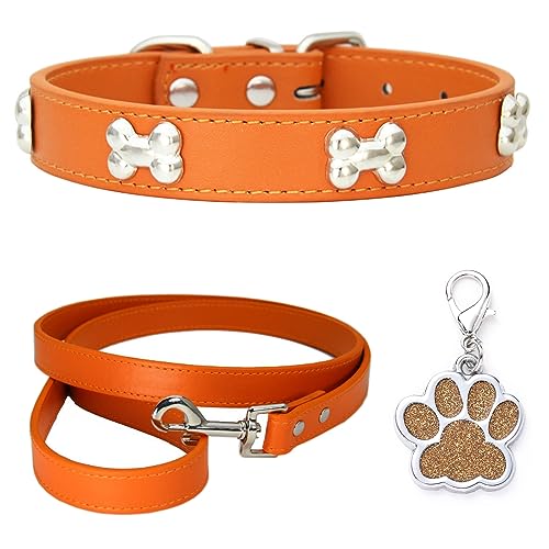 HALFSUMO Hundehalsband Leder Halsband Hundeleine Combo Set Hundehalsbänder Verstellbares Welpenhalsband für Kleine Mittelgroße Hunde Katzen Orange XS von HALFSUMO