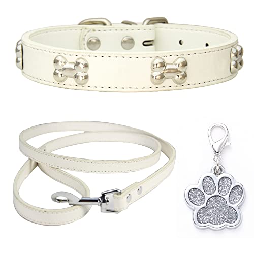 HALFSUMO Hundehalsband Leder Halsband Hundeleine Combo Set Hundehalsbänder Verstellbares Welpenhalsband für Kleine Mittelgroße Hunde Katzen Weiß S von HALFSUMO
