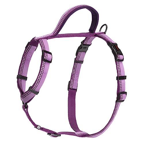 HALTI Walking Hundegeschirr – Mit weichem Neopren-gefüttertem Griff, 5 verstellbare Riemen und 3M-Reflektorgewebe. Geeignet für große Hunde (Größe L, Lila) HALTI Walking Hundegeschirr – Mit weichem Neopren-gefüttertem Griff, 5 verstellbare Riemen und 3M-Reflektorgewebe. Geeignet für große Hunde (Größe L, Lila) von Company of Animals