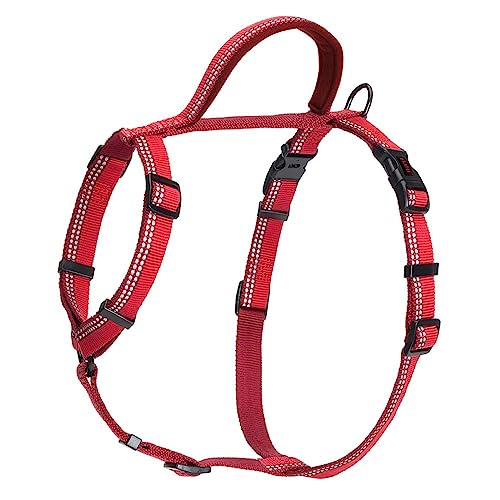 HALTI Walking Hundegeschirr – Mit weichem Neopren-gefüttertem Griff, 5 verstellbare Riemen und 3M-Reflektorgewebe. Geeignet für kleine Hunde und Welpen (Größe S, Rot) HALTI Walking Hundegeschirr – Mit weichem Neopren-gefüttertem Griff, 5 verstellbare Riemen und 3M-Reflektorgewebe. Geeignet für kleine Hunde und Welpen (Größe S, Rot) von Company of Animals